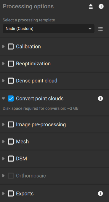 Processing options for converting point cloud